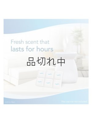 画像6: 【USファブリーズ】ワックスメルト(8個入り)：オーシャン