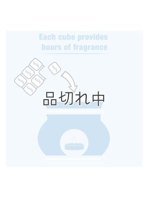 画像7: 【USファブリーズ】ワックスメルト(8個入り)：オーシャン