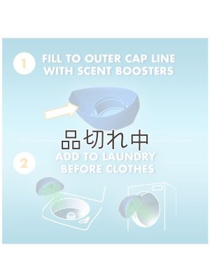 画像11: 【Arm&Hammer/アーム＆ハンマー】セントブースター(加香剤)24oz：クールウッズ