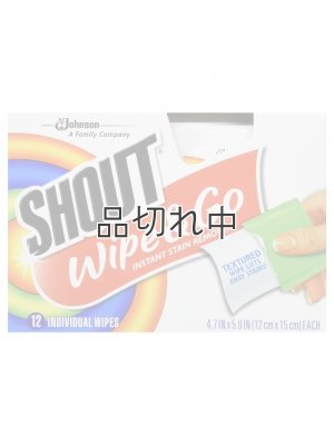 画像1: 【Shout/シャウト】Wipe & Go (ワイプアンドゴー)携帯シミ抜きウェットティッシュタイプ：12個入り