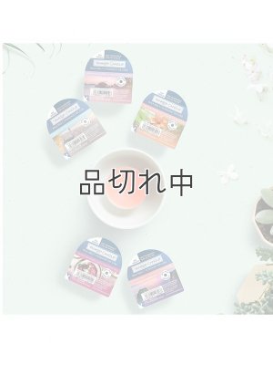 画像5: 【YANKEE CANDLE/ヤンキーキャンドル】ワックスメルト：サン＆サンド