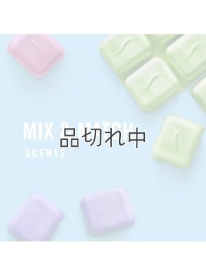 画像5: 【USファブリーズ】ワックスメルト(8個入り)：オーシャン