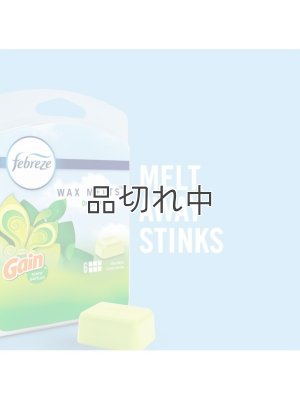 画像2: 【USファブリーズ】ワックスメルト(6ct)：ゲインオリジナル