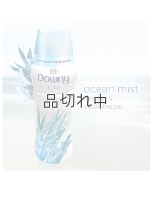 画像3: 【Downy/ダウニー】セントブースター(加香剤)18.2oz：Light オーシャンミスト