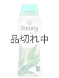 【Downy/ダウニー】セントブースター(加香剤)20.1oz：Light ウッドランドレイン