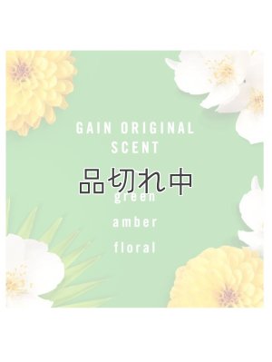 画像4: 【USファブリーズ】車用芳香剤(3個入り)：Gain ゲインオリジナル