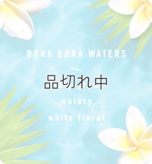 画像3: 【USファブリーズ】車用芳香剤(3個入り)：ボラボラウォーター