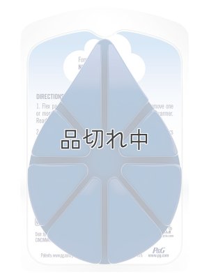 画像3: 【USファブリーズ】ワックスメルト(8個入り)：オーシャン