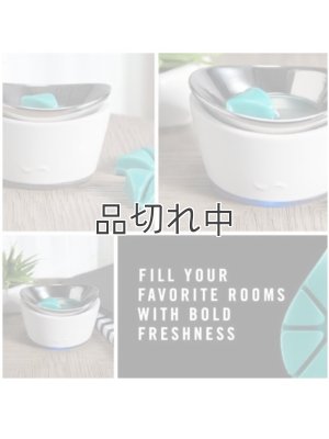 画像4: 【USファブリーズ】ワックスメルト(8個入り)：オーシャン