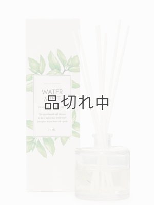 画像1: 【Green Oasis】リードディフューザー：ウォーターミント