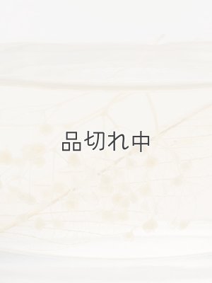 画像4: 【Green Oasis】リードディフューザー：トロピカルフォレスト