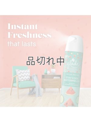 画像4: 【glade】エアーフレッシュナー：ステイクールウォーターメロン