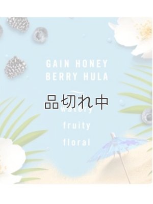 画像2: 【USファブリーズ】プラグインオイルリフィル(2セット入)：Gain ゲインハニーベリーフラ