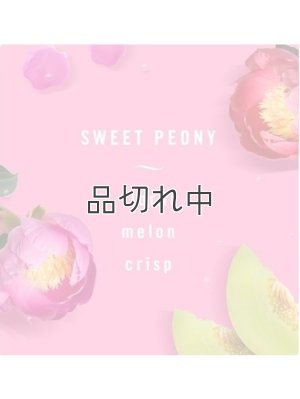 画像2: 【USファブリーズ】プラグインオイルリフィル(2セット入)：スイートピオニー