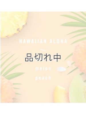 画像5: 【USファブリーズ】車用芳香剤(3個入り)：リネン＆スカイ/ゲインオリジナル/ハワイアンアロハ