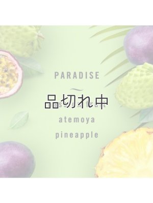 画像3: 【USファブリーズ】車用芳香剤(3個入り)：フレッシュ/パラダイス/ブリーズ