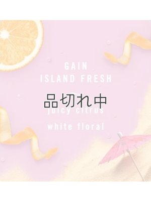 画像5: 【USファブリーズ】車用芳香剤(3個入り)：ゲインオリジナル/ゲインムーンライトブリーズ/ゲインアイランドフレッシュ