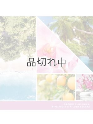 画像2: 【YANKEE CANDLE/ヤンキーキャンドル】ワックスメルト：ワイルドオーキッド