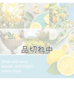 画像2: 【YANKEE CANDLE/ヤンキーキャンドル】ワックスメルト：シチリアンレモン