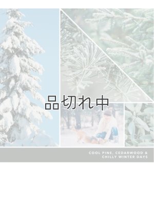 画像2: 【YANKEE CANDLE/ヤンキーキャンドル】ワックスメルト：シルバーセージ＆パイン