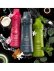 画像3: 【Bath&Body Works】洗濯洗剤(946ml)：A Thousand Wishes (3)