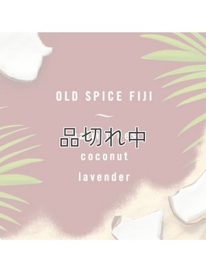 画像2: 【USファブリーズ】車用芳香剤(2個入り)：オールドスパイス Fiji(フィジー)