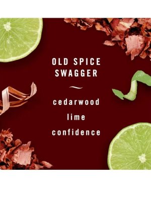 画像3: 【USファブリーズ】車用芳香剤(2個入り)：オールドスパイス Swagger(スワッガー)