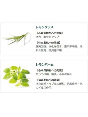 画像5: 【クナイプ】バスソルト：レモングラス＆レモンバームの香り 40g