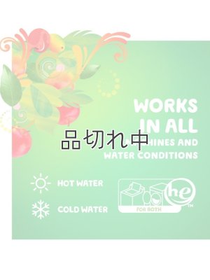 画像5: 【Gain/ゲイン】洗濯洗剤：Gain ゲイン アップルマンゴータンゴ 2倍濃縮 2720ml