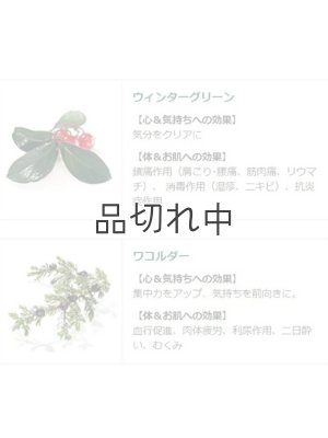 画像5: 【クナイプ】バスソルト：グーテエアホールング ウィンターグリーン&ワコルダーの香り 40g