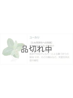 画像5: 【クナイプ】バスソルト：ユーカリの香り 40g