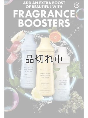 画像3: 【Bath&Body Works】フレグランスブースター(18oz/510g)：アンバーブラッシュ