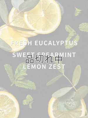 画像2: 【Bath&Body Works】フレグランスブースター(18oz/510g)：ユーカリミント