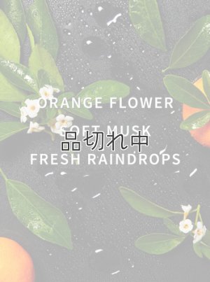 画像2: 【Bath&Body Works】フレグランスブースター(18oz/510g)：モーニングレイン