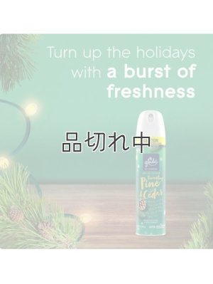 画像3: 【glade】エアーフレッシュナー：トゥウィンクリングパイン＆シダー