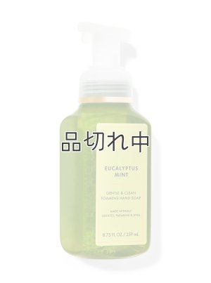 画像1: 【Bath&BodyWorks】フォーミングハンドソープ：ユーカリミント