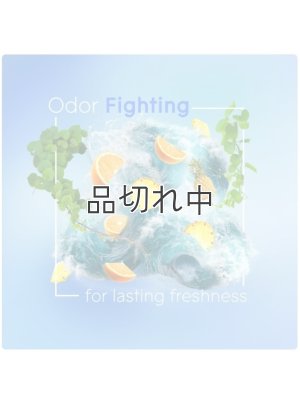 画像2: 【glade】エアーフレッシュナー：コースタルサンシャインシトラス