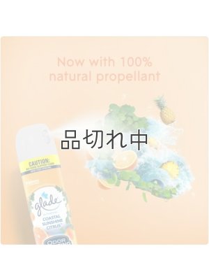 画像4: 【glade】エアーフレッシュナー：コースタルサンシャインシトラス