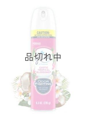 画像1: 【glade】エアーフレッシュナー：エキゾチックトロピカルブロッサム