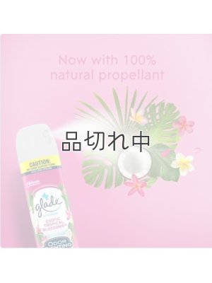 画像4: 【glade】エアーフレッシュナー：エキゾチックトロピカルブロッサム