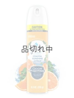 画像1: 【glade】エアーフレッシュナー：コースタルサンシャインシトラス