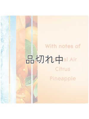 画像3: 【glade】エアーフレッシュナー：コースタルサンシャインシトラス