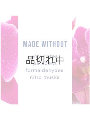 画像6: 【glade】プラグインオイルリフィル(2個入)：オーキッド＆ネロリ