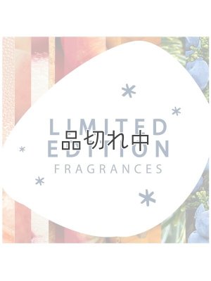 画像7: 【glade】プラグインオイル本体+リフィルセット：トゥウィンクリングパイン＆シダー