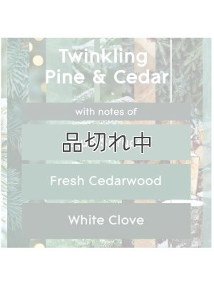 画像2: 【glade】プラグインオイル本体+リフィルセット：トゥウィンクリングパイン＆シダー