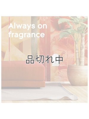 画像10: 【glade】プラグインオイル本体+リフィルセット：ハワイアンブリーズ