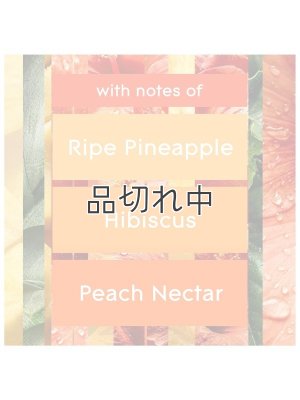 画像3: 【glade】プラグインオイル本体+リフィルセット：ハワイアンブリーズ