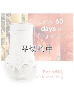 画像9: 【glade】プラグインオイル本体+リフィルセット：ハワイアンブリーズ