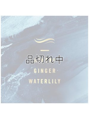 画像2: ◆50％OFF◆クリアランスセール2290円→1145円【USファブリーズ】エアーフレッシュナー：オーシャン