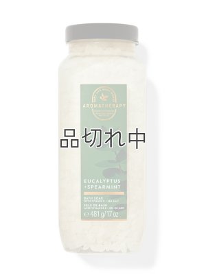 画像1: ◆50％OFF◆クリアランスセール3990円→1995円【Bath&BodyWorks】バスソーク(入浴剤)：ユーカリスペアミント